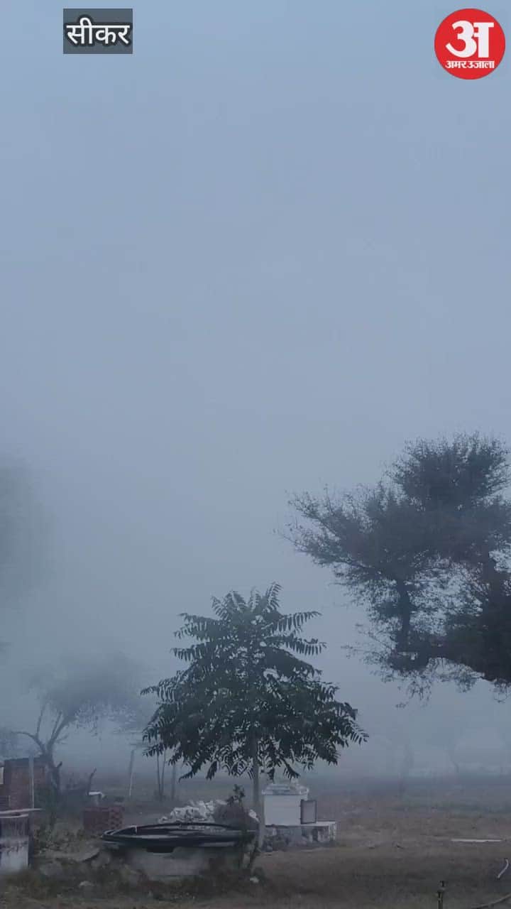 Dense fog in Shekhawati, alert for severe cold again from January 4...