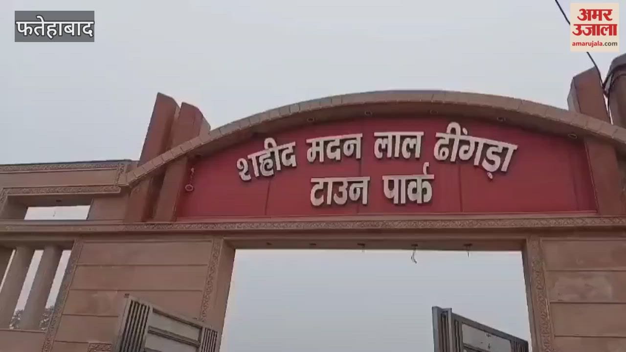 Due to the absence of a security guard at the Town Park in Tohana, miscreants are damaging the plants planted in the park.