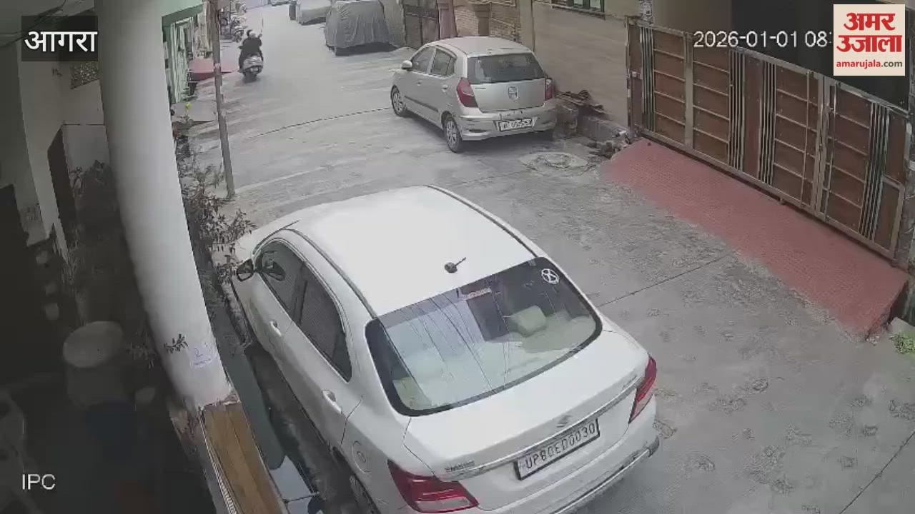 Flower Theft in Lawyers Colony: Scooty-Borne Youth Steal Flowers from Homes