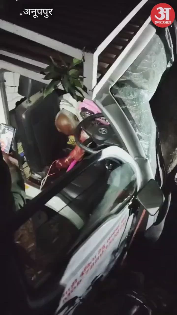 Anuppur News: Pickup vehicle collides with a tree while returning from a fair; two killed.