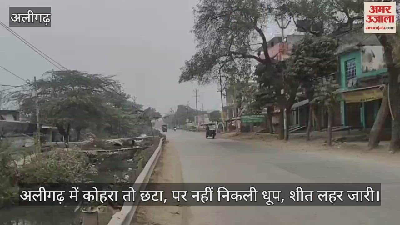 अलीगढ़ में कोहरा तो छटा, पर नहीं निकली धूप, शीत लहर जारी