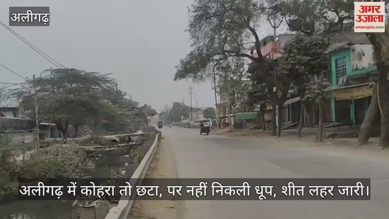 अलीगढ़ में कोहरा तो छटा, पर नहीं निकली धूप, शीत लहर जारी