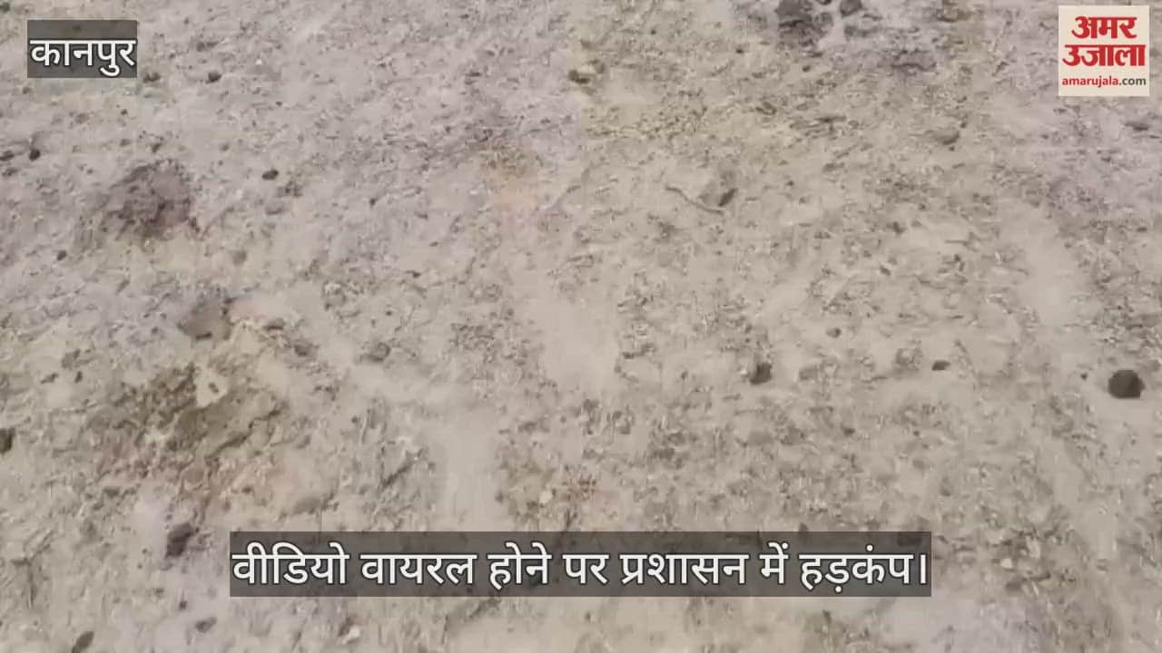 कानपुर: घाटमपुर की बीरपुर गोशाला में बदहाली,भूख और गंदगी से दम तोड़ रहे गोवंश