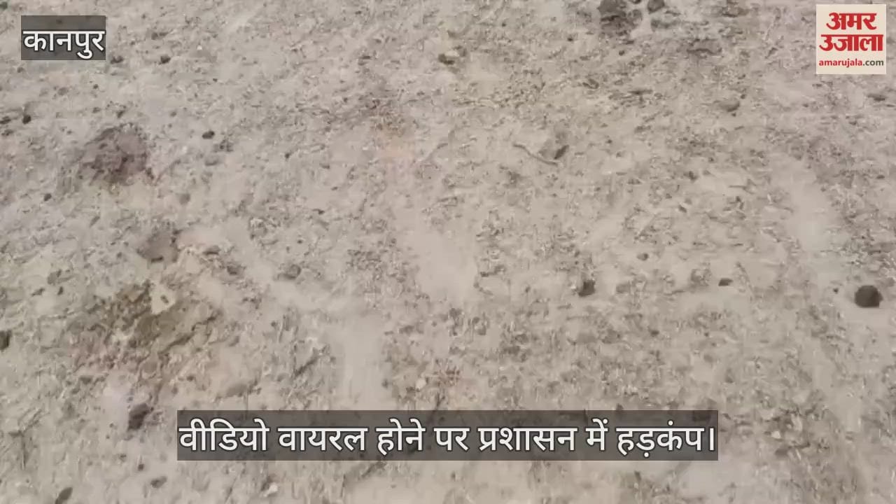कानपुर: घाटमपुर की बीरपुर गोशाला में बदहाली,भूख और गंदगी से दम तोड़ रहे गोवंश