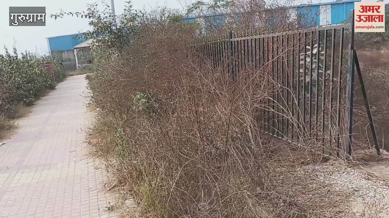 condition of park of Sector 110 in New Gurugram is bad