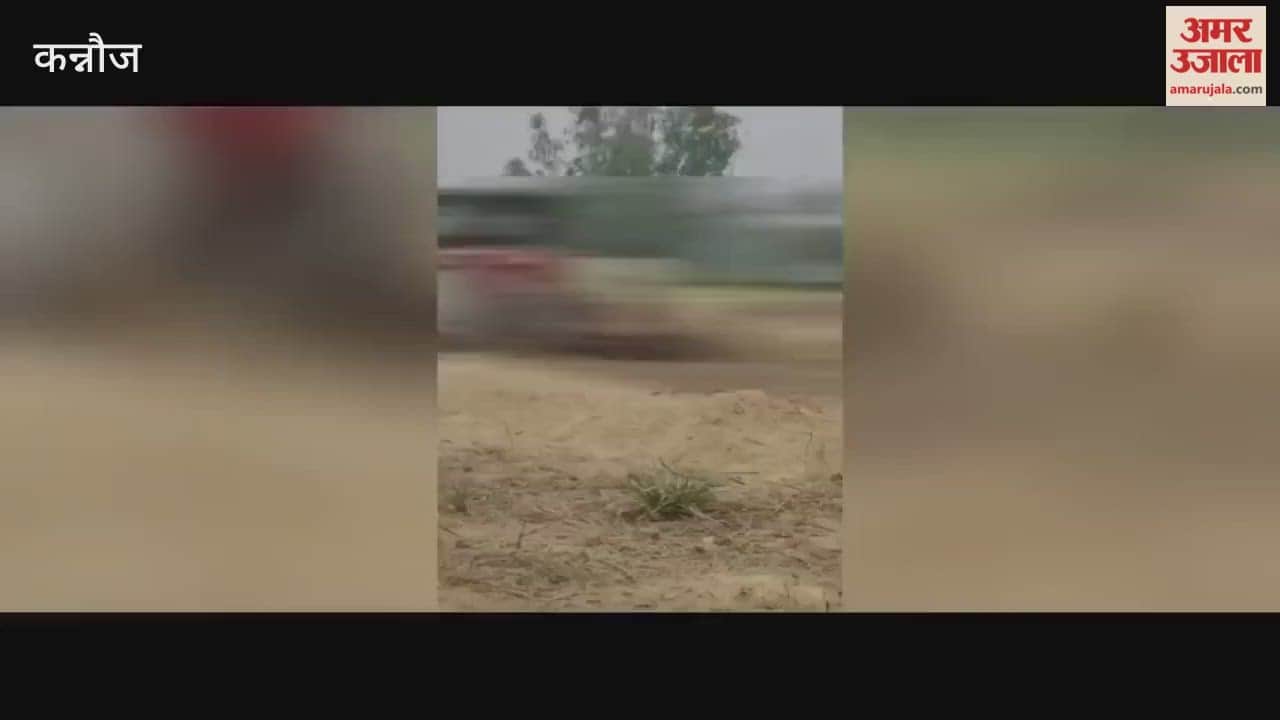 Kannauj: Dead Cow Dragged by Rope Tied to a Tractor; Vishwa Hindu Mahasangh Demands Action