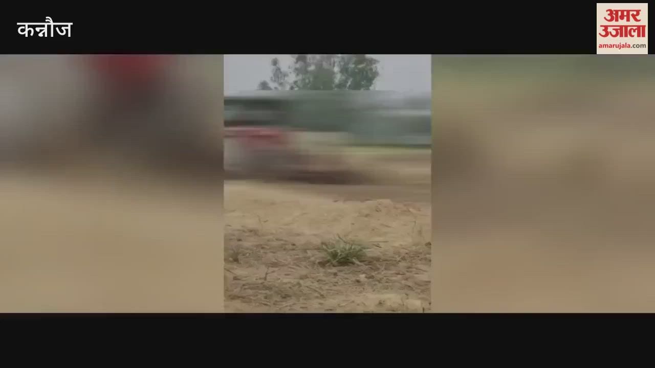 Kannauj: Dead Cow Dragged by Rope Tied to a Tractor; Vishwa Hindu Mahasangh Demands Action