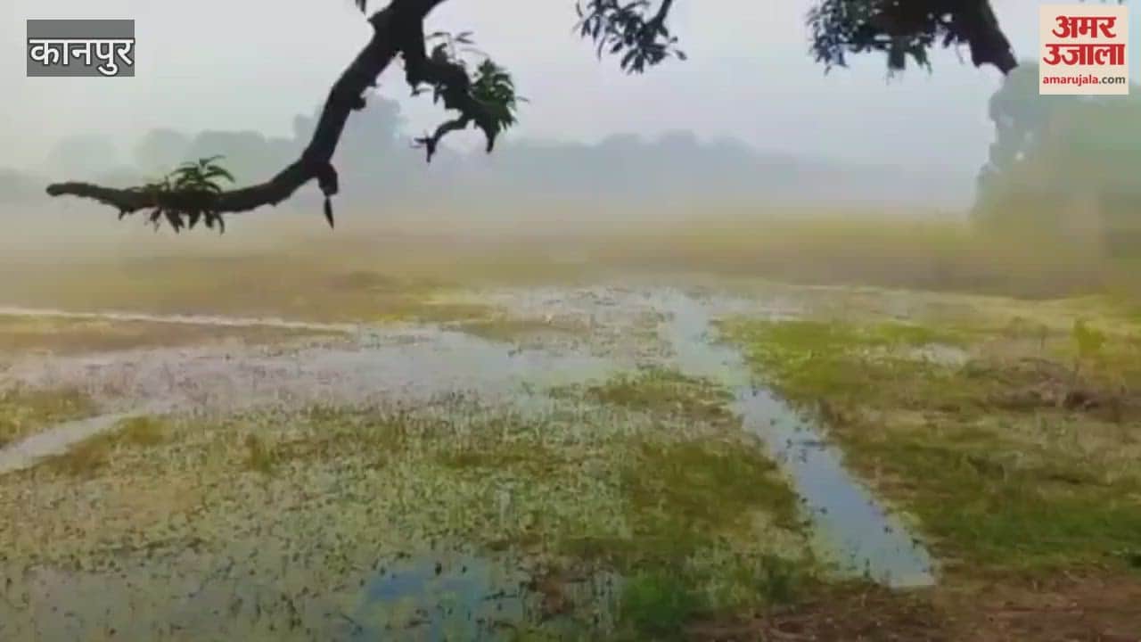 Baraigarh Lake is attracting nature and bird lovers