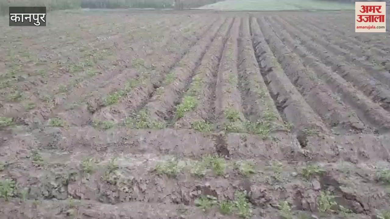 Farmer brutally beaten for stopping man from grazing pigs in his potato field