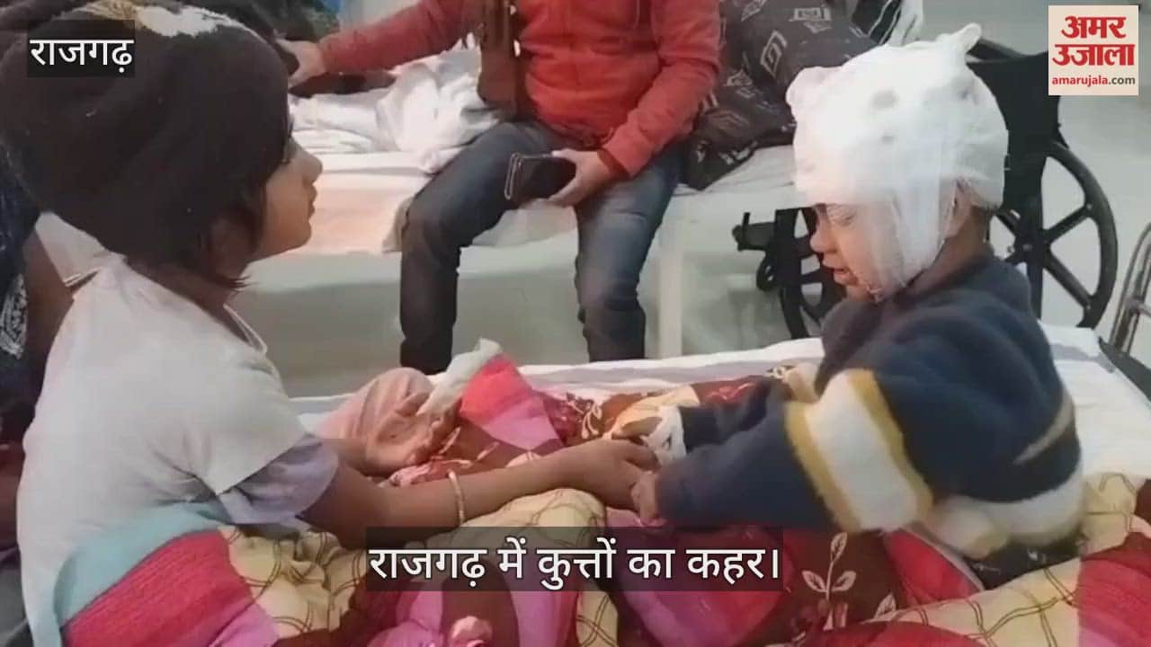 Rajgarh News: An eight-year-old sister fought off a dog to save her younger brother.