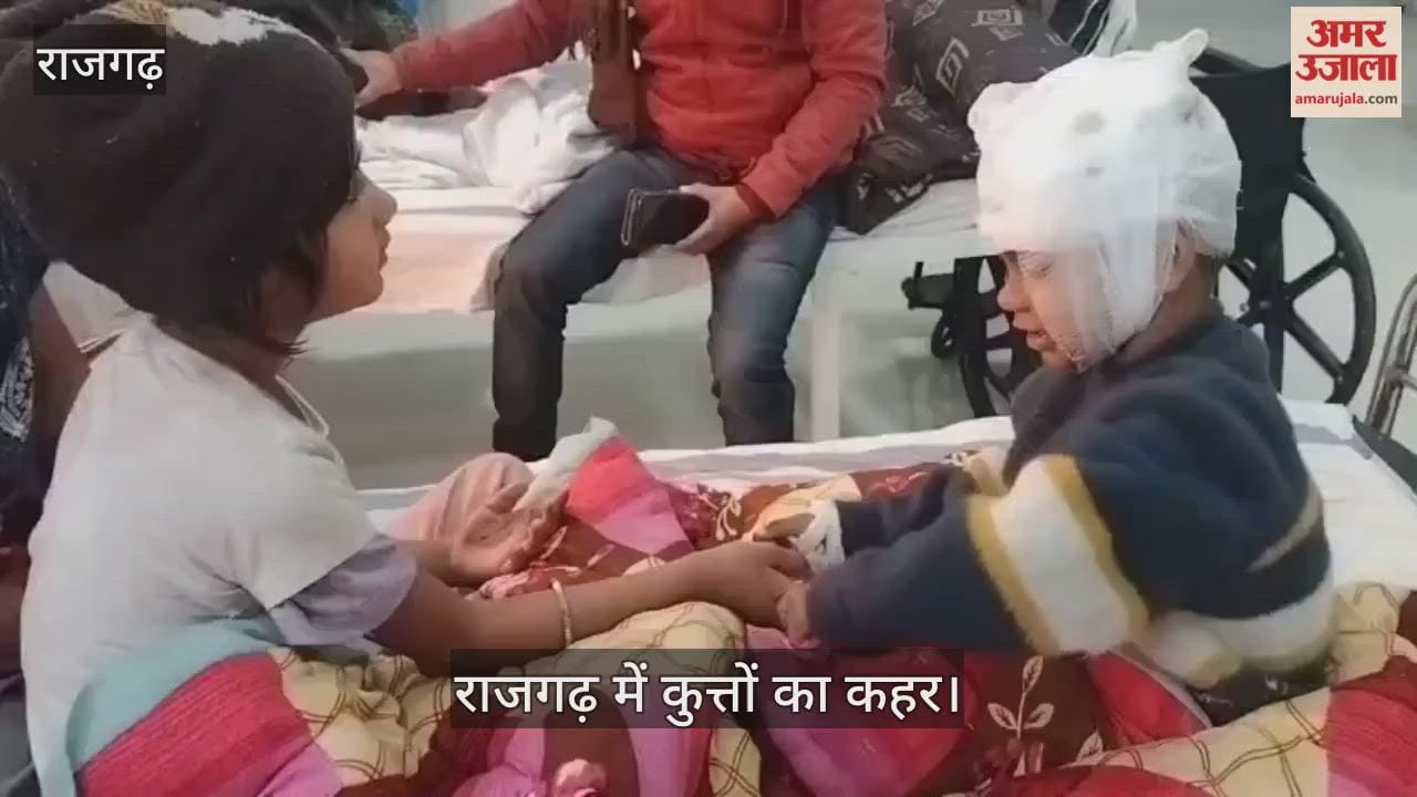 Rajgarh News: An eight-year-old sister fought off a dog to save her younger brother.