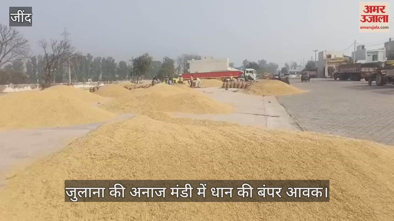 Bumper arrival of paddy in the grain market of Julana