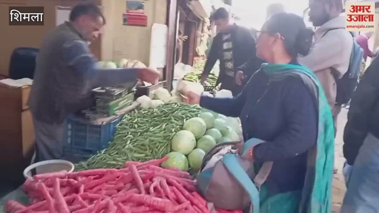 Shimla Hit by inflation tomato prices reach Rs 80 per kilogram