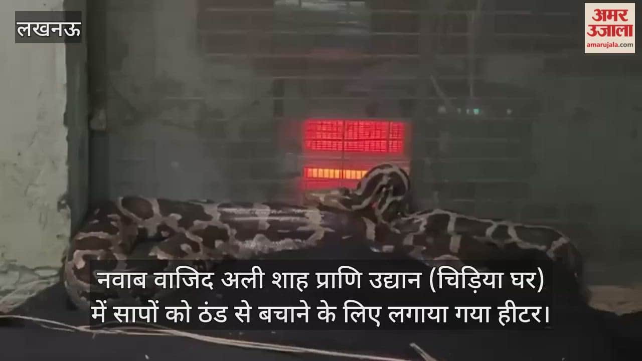 Video: नवाब वाजिद अली शाह प्राणि उद्यान (चिड़िया घर) में सापों को ठंड से बचाने के लिए लगाया गया हीटर