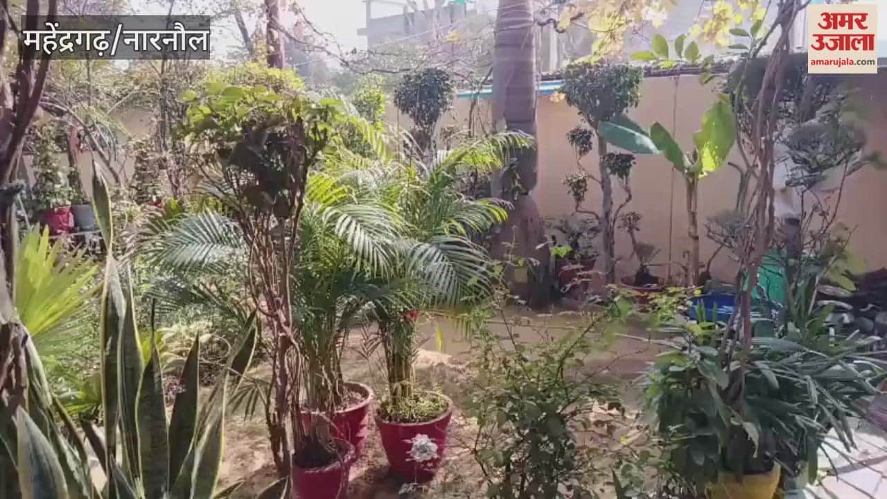 Sunita of Mahendragarh is doing gardening at home