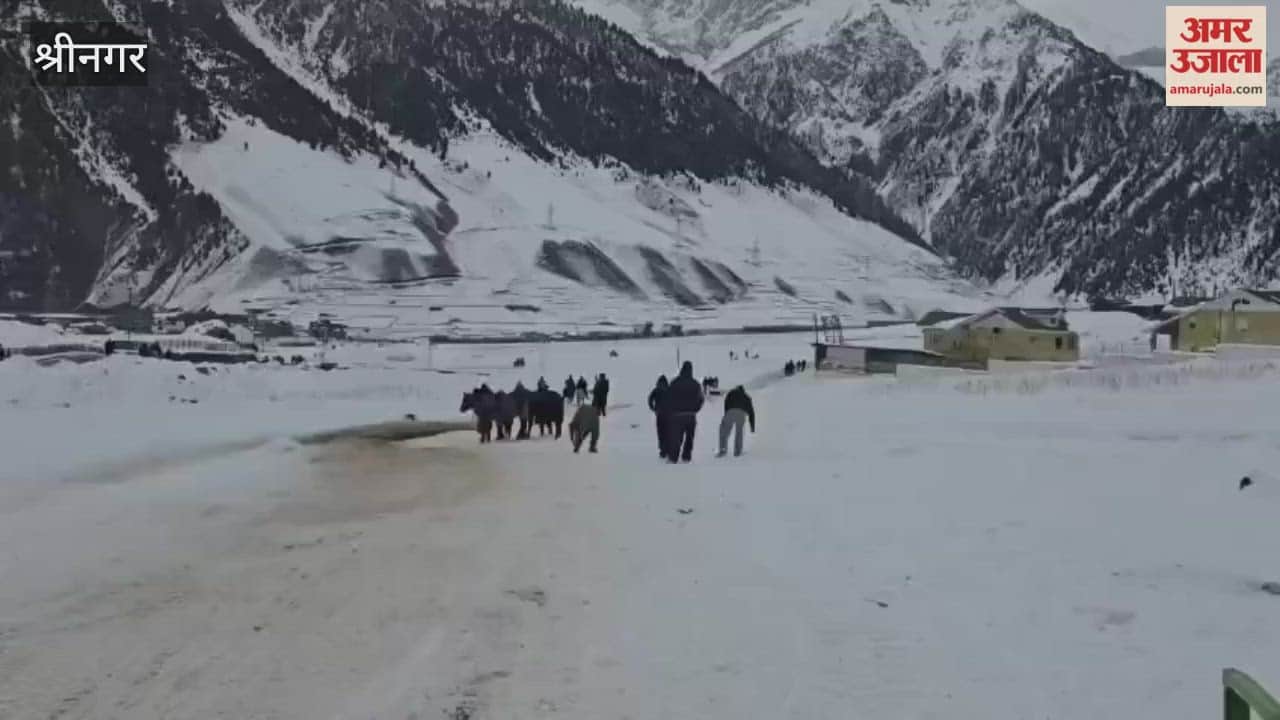Fresh snowfall turns Sonamarg into a magical winter wonderland