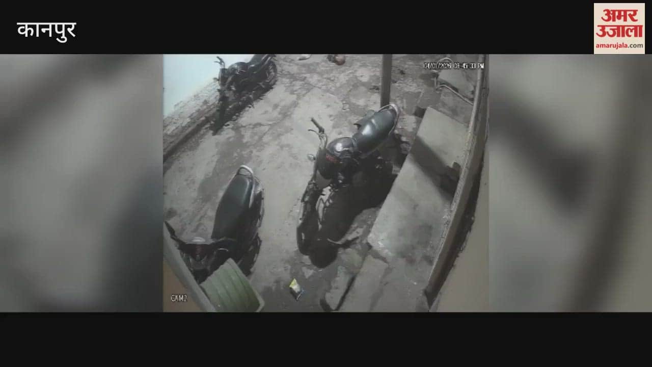 Stray Dogs Attack Woman Going to Buy Medicine in Juhi