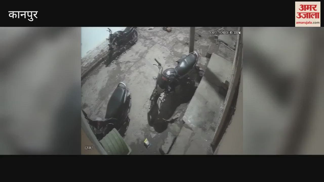 Stray Dogs Attack Woman Going to Buy Medicine in Juhi
