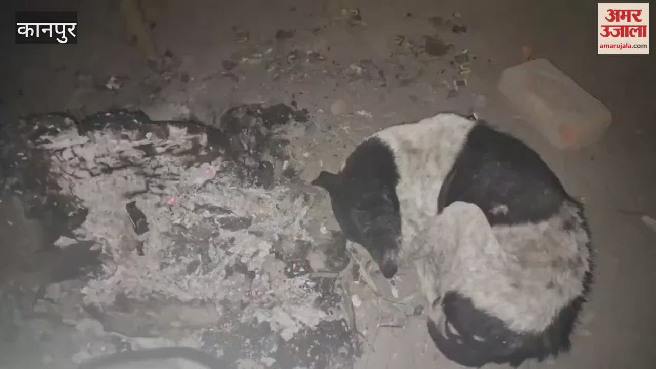 Bonfires become a lifeline for voiceless animals