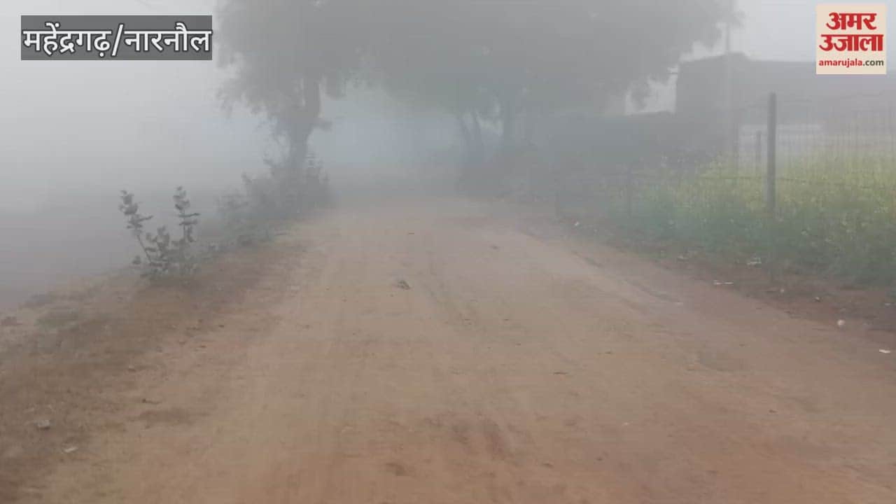 Narnaul is shrouded in a blanket of fog, bringing traffic to a standstill