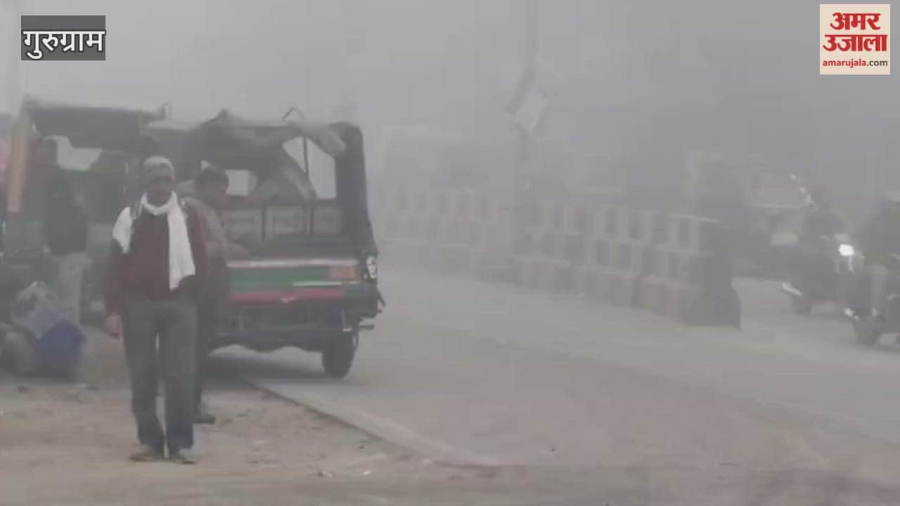 biting cold and dense fog have disrupted daily life