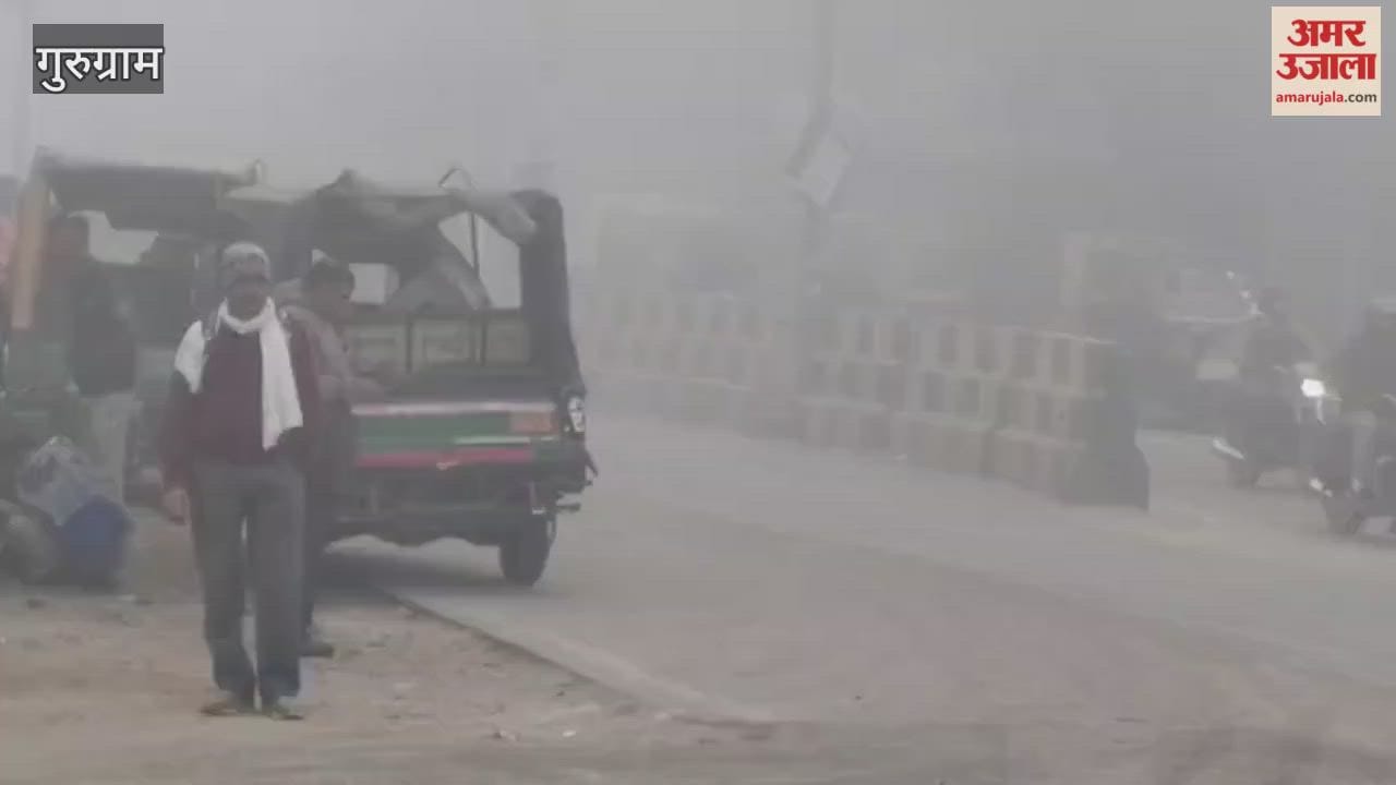 biting cold and dense fog have disrupted daily life