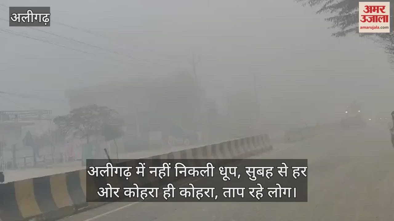 अलीगढ़ में नहीं निकली धूप, सुबह से हर ओर कोहरा ही कोहरा, ताप रहे लोग