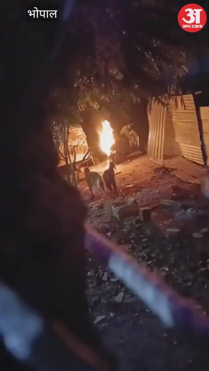 Bhopal News: Six Miscreants Run Riot After Breaking Into House, Woman Injured, Scooter Set on Fire