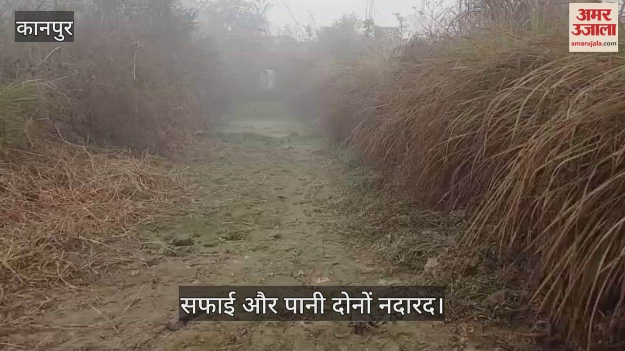 कानपुर: सूखा रजबहा और पाले की मार, नहर किनारे रहने के बावजूद सिंचाई को तरस रहे किसान