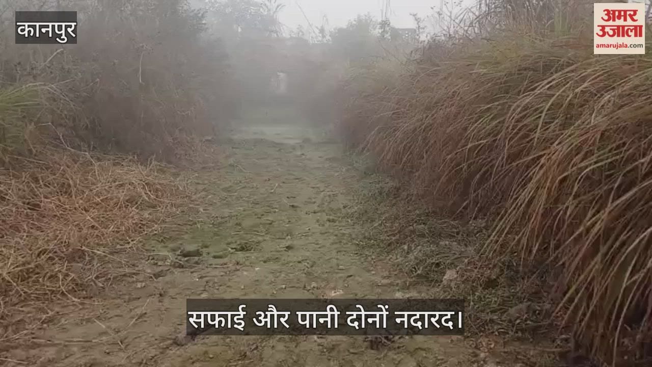 कानपुर: सूखा रजबहा और पाले की मार, नहर किनारे रहने के बावजूद सिंचाई को तरस रहे किसान