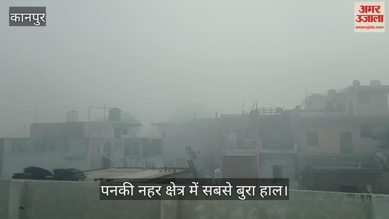 कानपुर: सुबह नौ बजे भी कोहरे की चादर में लिपटा इलाका, पनकी नहर के पास दृश्यता शून्य