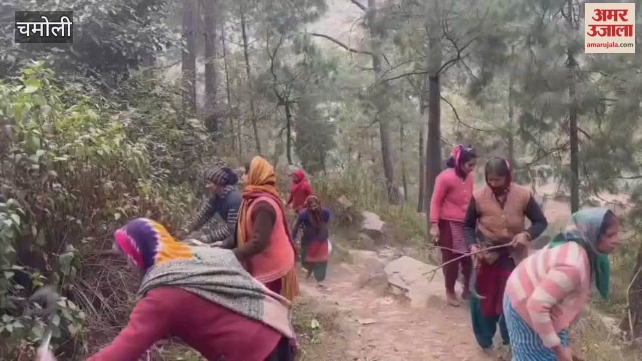 Karnaprayag: Bushes were cleared to protect against wild animals