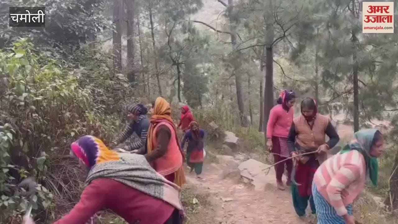 Karnaprayag: Bushes were cleared to protect against wild animals