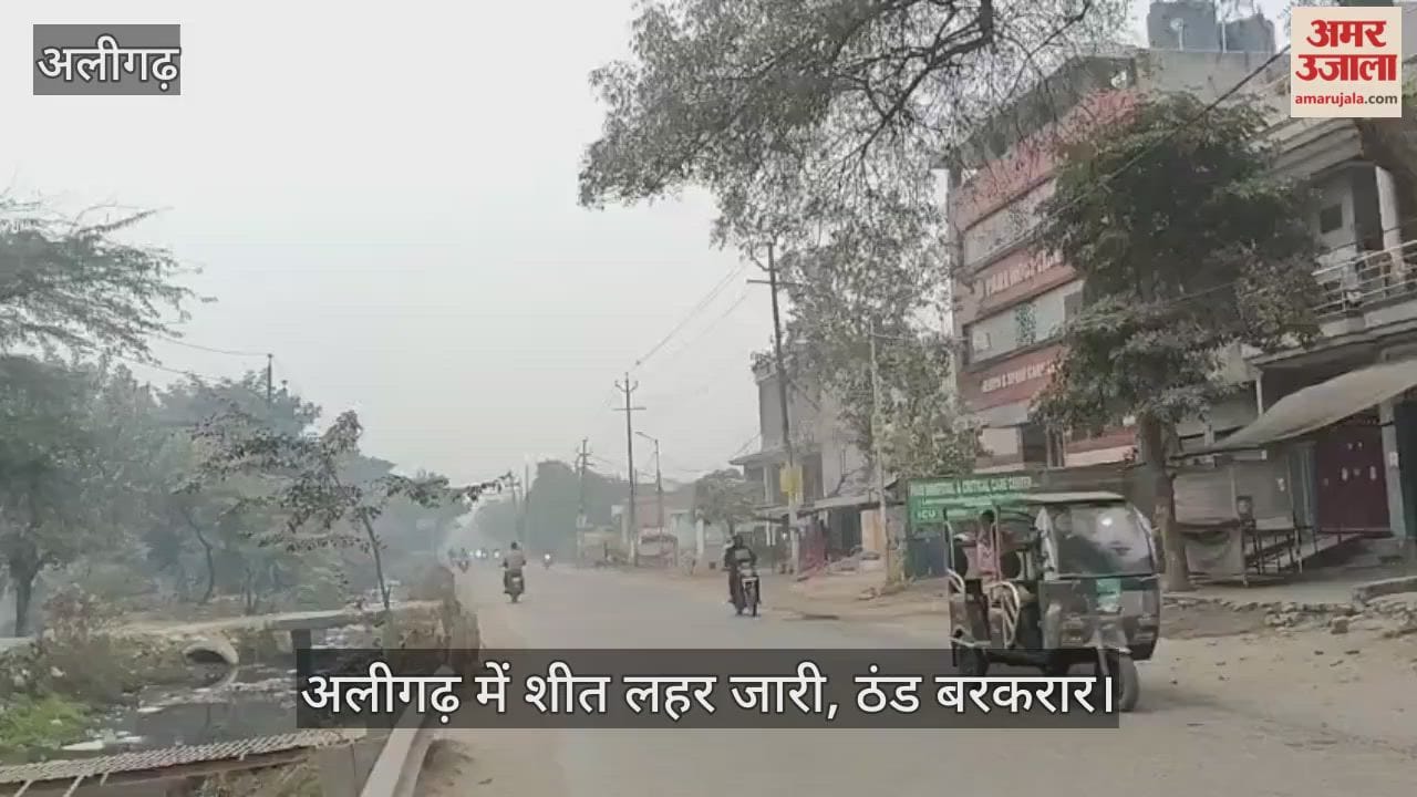 अलीगढ़ में शीत लहर जारी, ठंड बरकरार