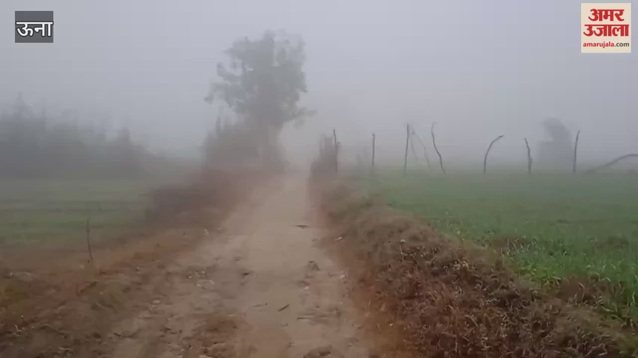 Una Fog reigns supreme in the Kutlehar assembly constituency