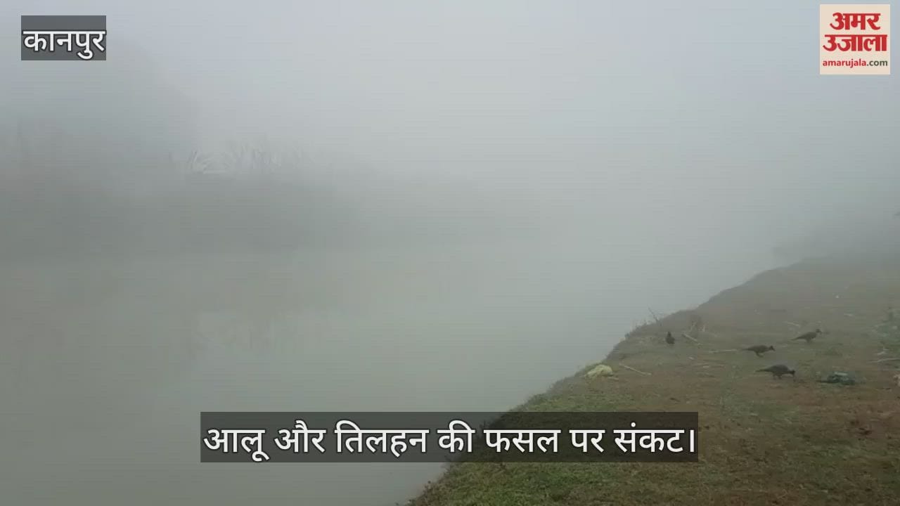 कानपुर: सफेद चादर में सिमटा वन विभाग का जंगल; इस सीजन का सबसे घना कोहरा