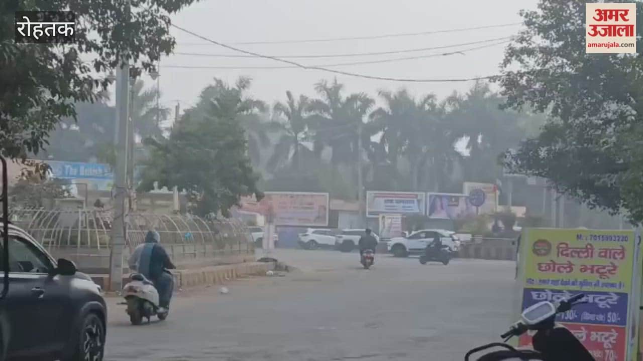 cold has intensified in Rohtak, affecting daily life due to the biting chill