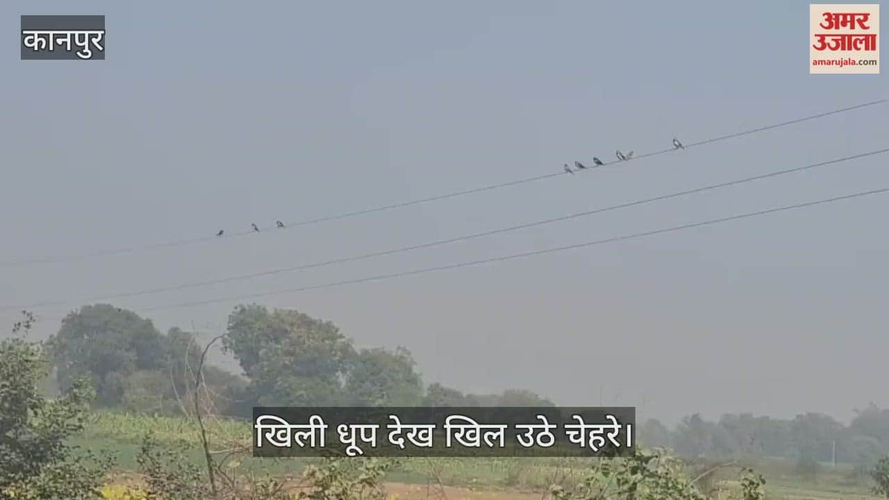 कानपुर: कोहरे की कैद से मिली आजादी, तीसरे दिन मुस्कुराया सूरज