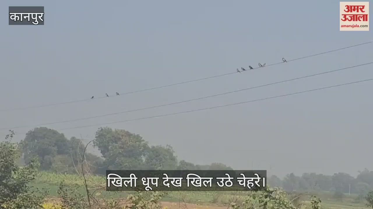 कानपुर: कोहरे की कैद से मिली आजादी, तीसरे दिन मुस्कुराया सूरज