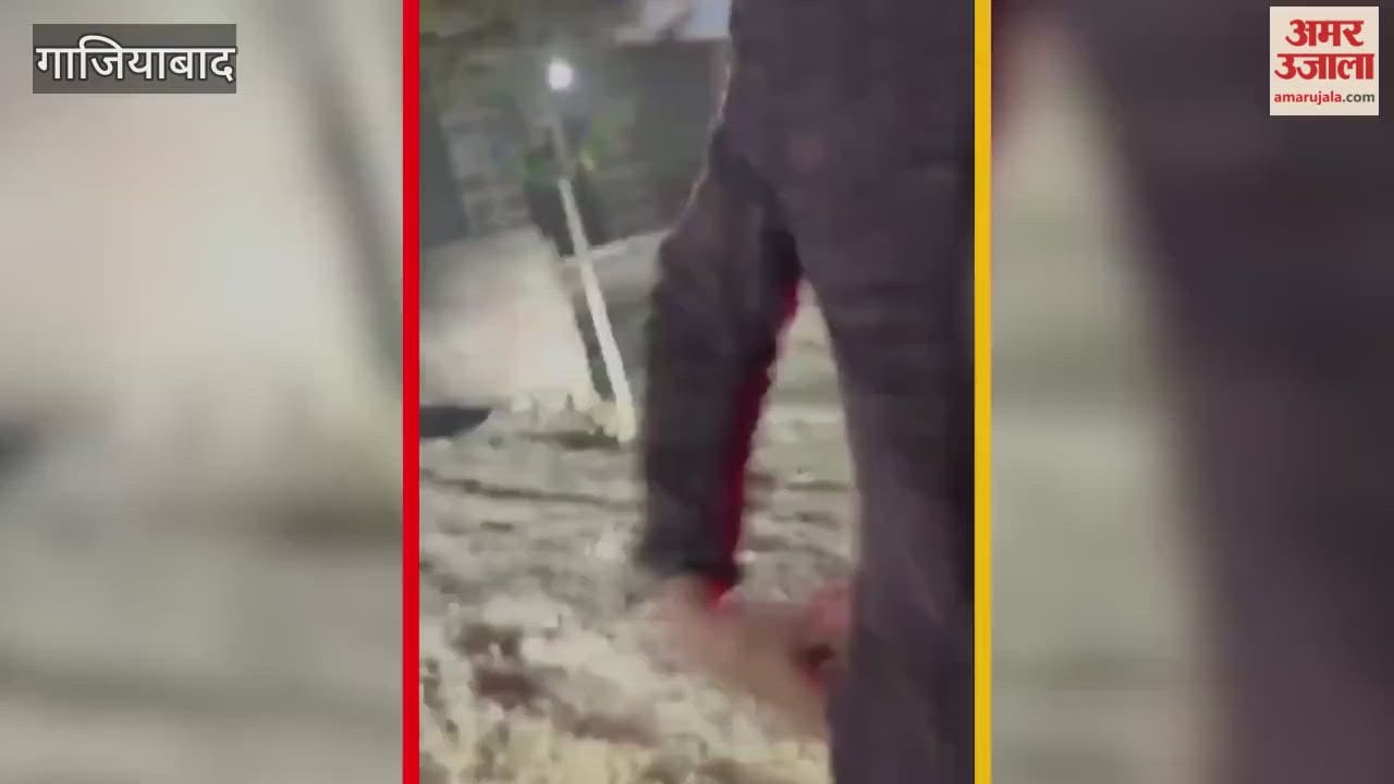 A woman and two police officers mistreated the young men