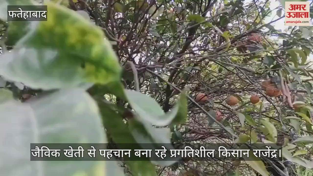 Progressive farmer Rajendra is making his mark through organic farming