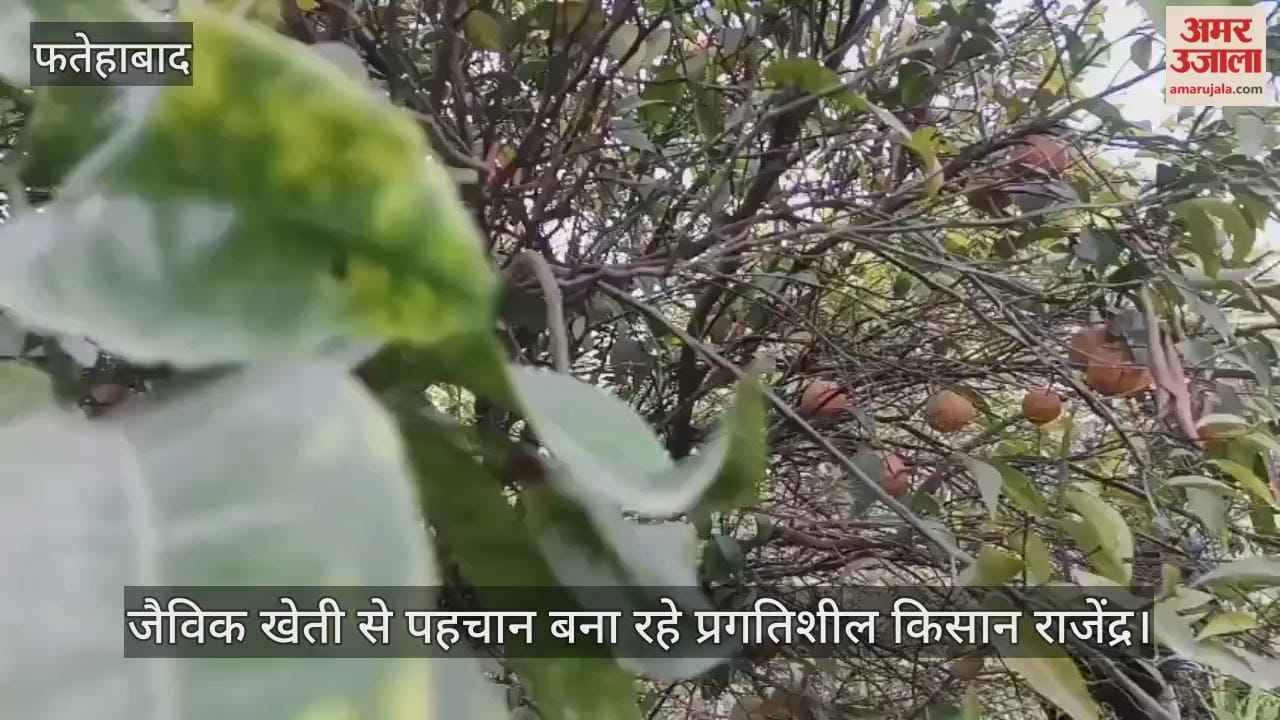 Progressive farmer Rajendra is making his mark through organic farming