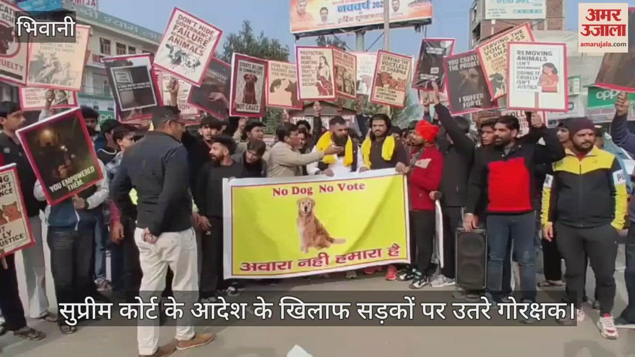 Cow vigilantes took to the streets against the Supreme Court order