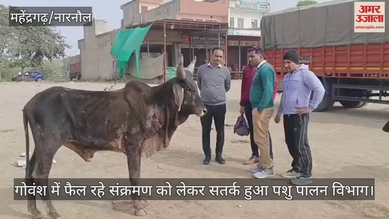 Animal Husbandry Department alerted about the infection spreading among cattle