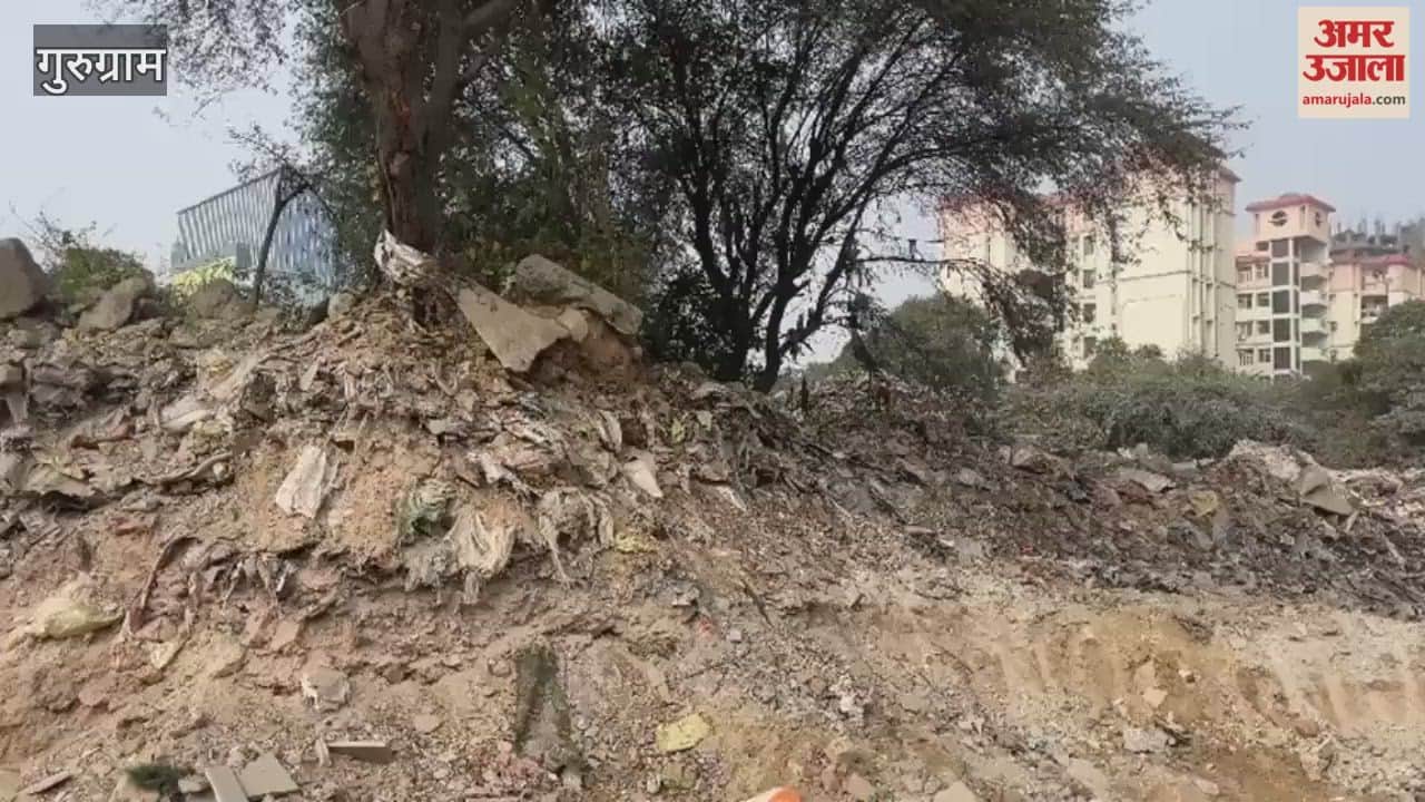 Dumping area in Sector 55 has made life difficult for residents
