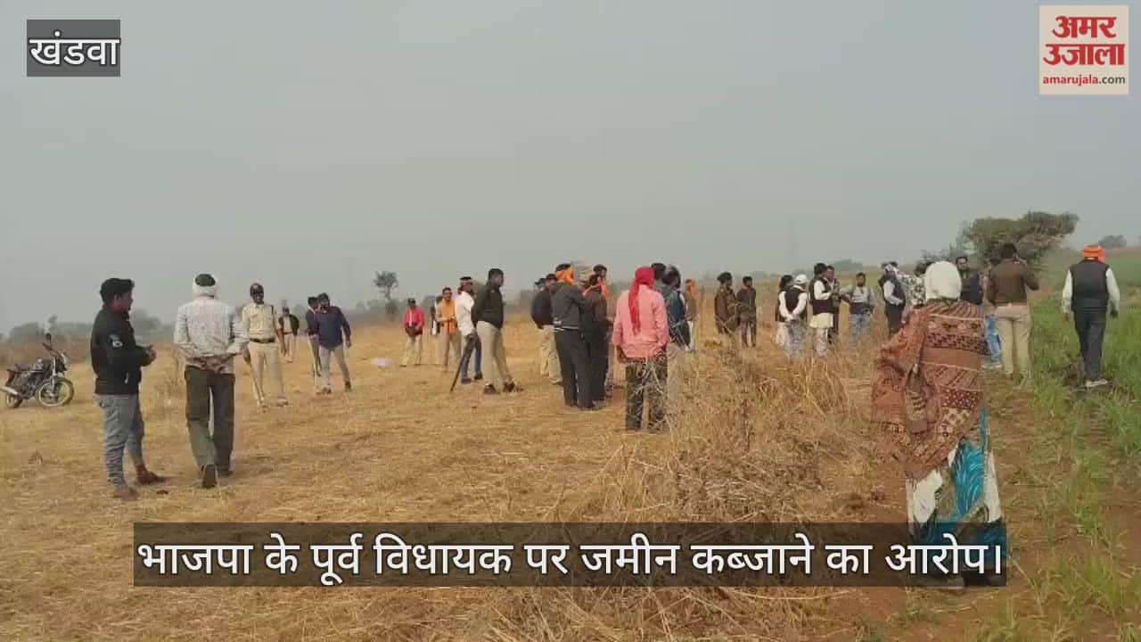 Former BJP MLA accused of land grabbing youth climbs high tension line tower