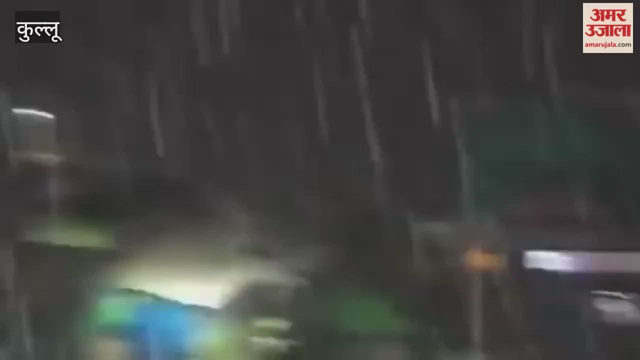 Tourists were delighted to see light snowfall in Tosh village of Kullu