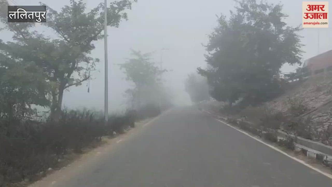 Lalitpur: The district is covered in a blanket of fog, vehicles move on the highway with their lights on.