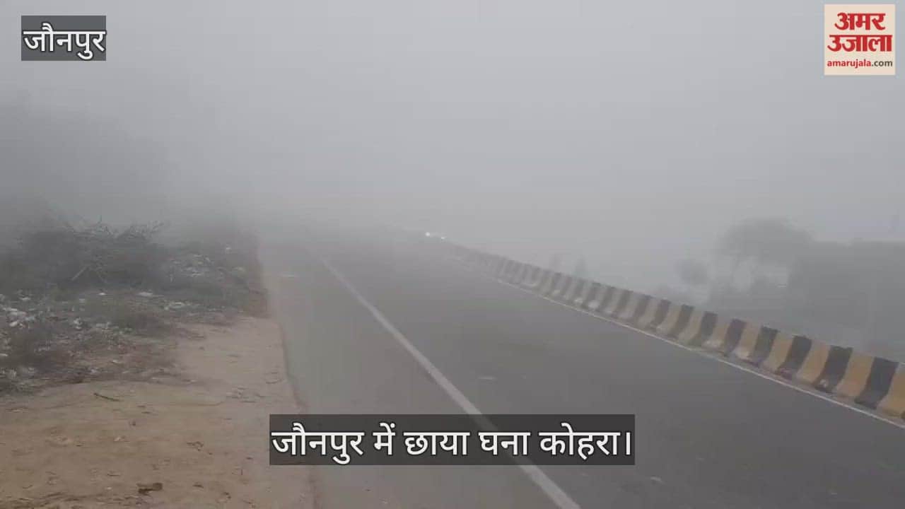 Vehicles seen crawling on road in Jaunpur due to dense fog