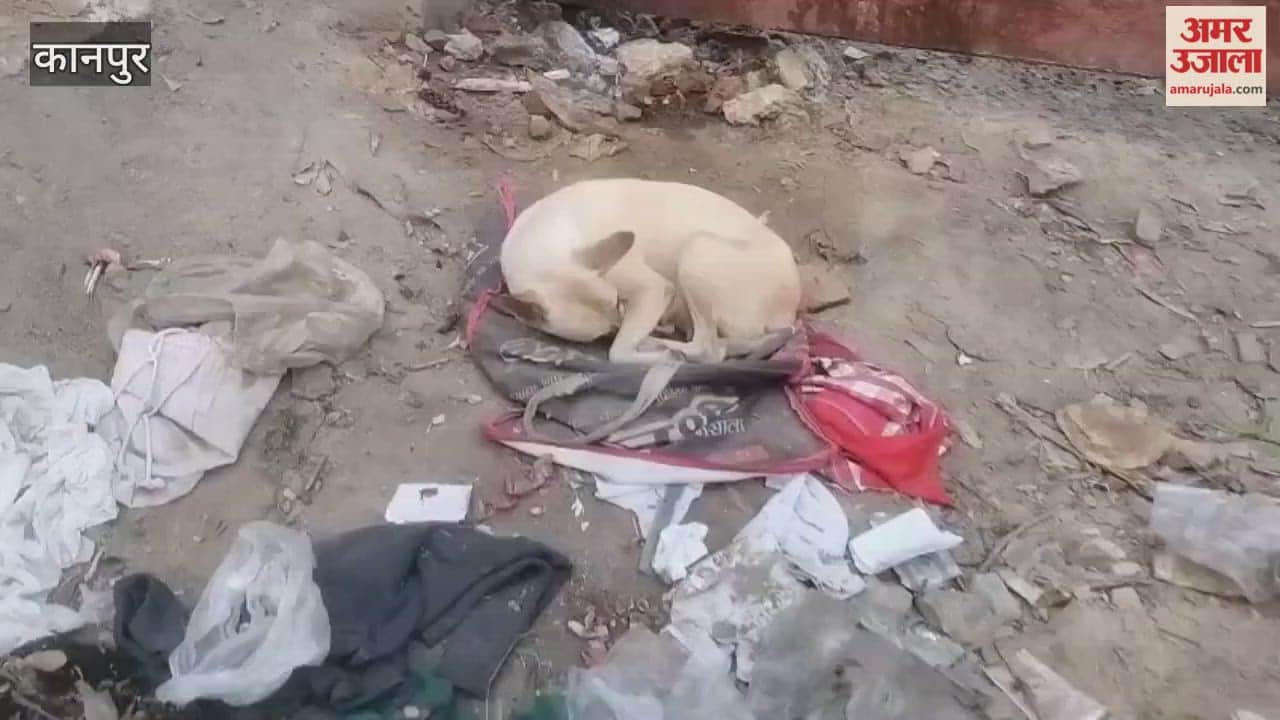 Not only humans but also animals are suffering from the cold